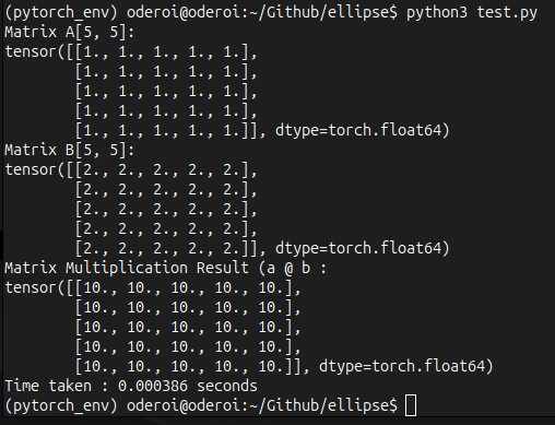 PyTorch Performance Output